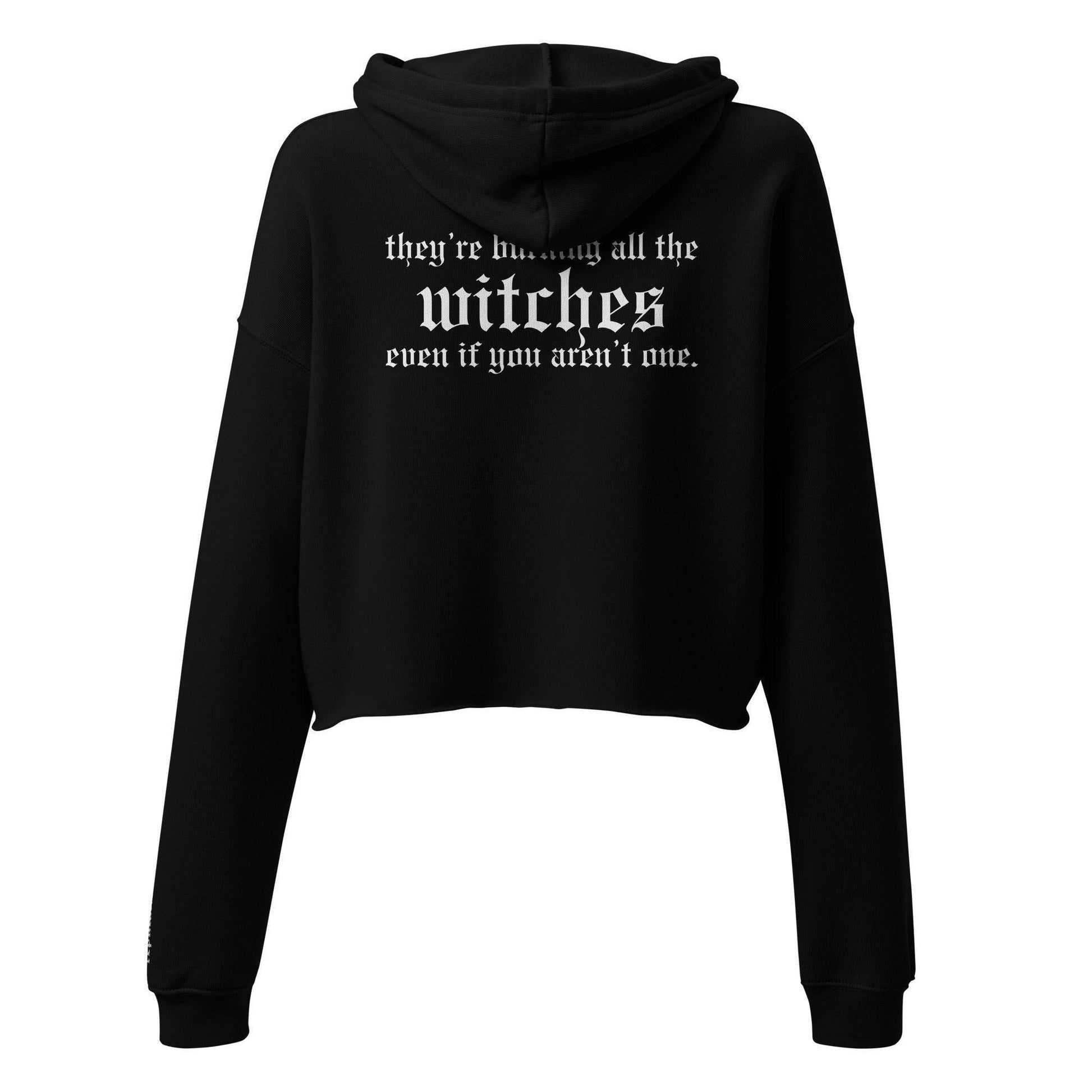 They're Burning all the Witches Swiftie Crop Hoodie